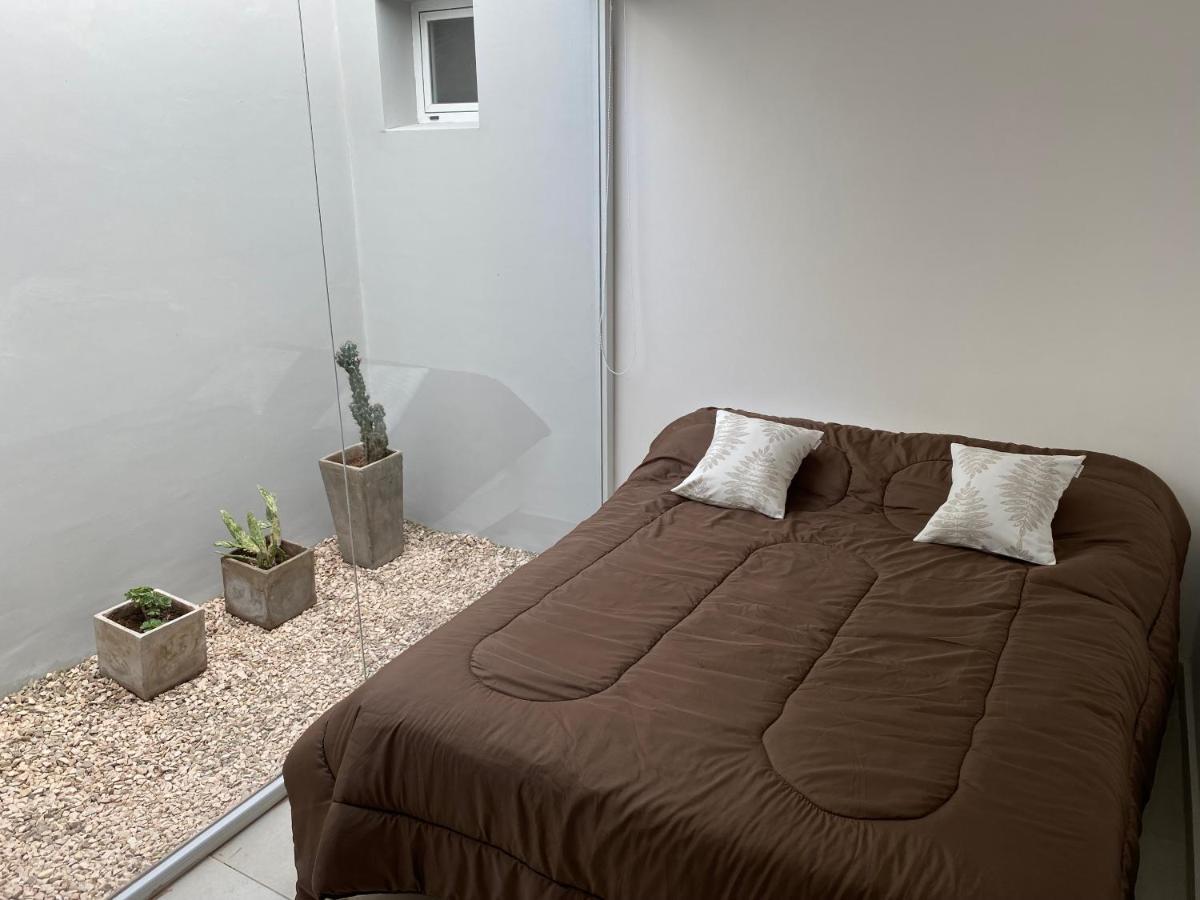 Estudio San Pedro (Buenos Aires)