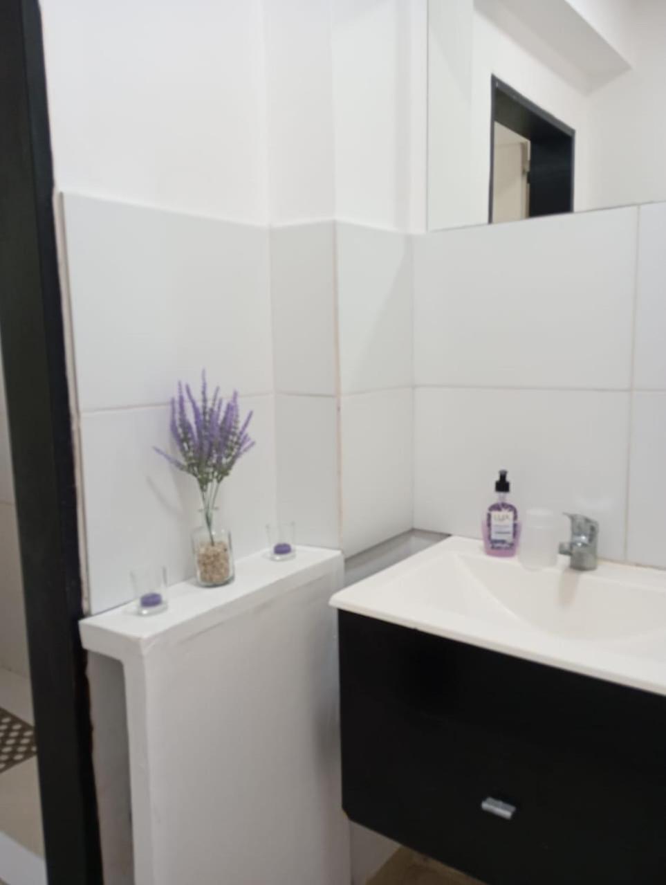 Apartment Estudio